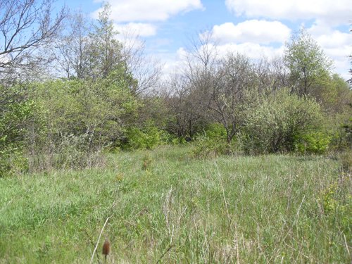 Property photo 3 - Land Auction - 113.11 Acres, Potential Building Site, Wildlife & Recreation, Development Potential